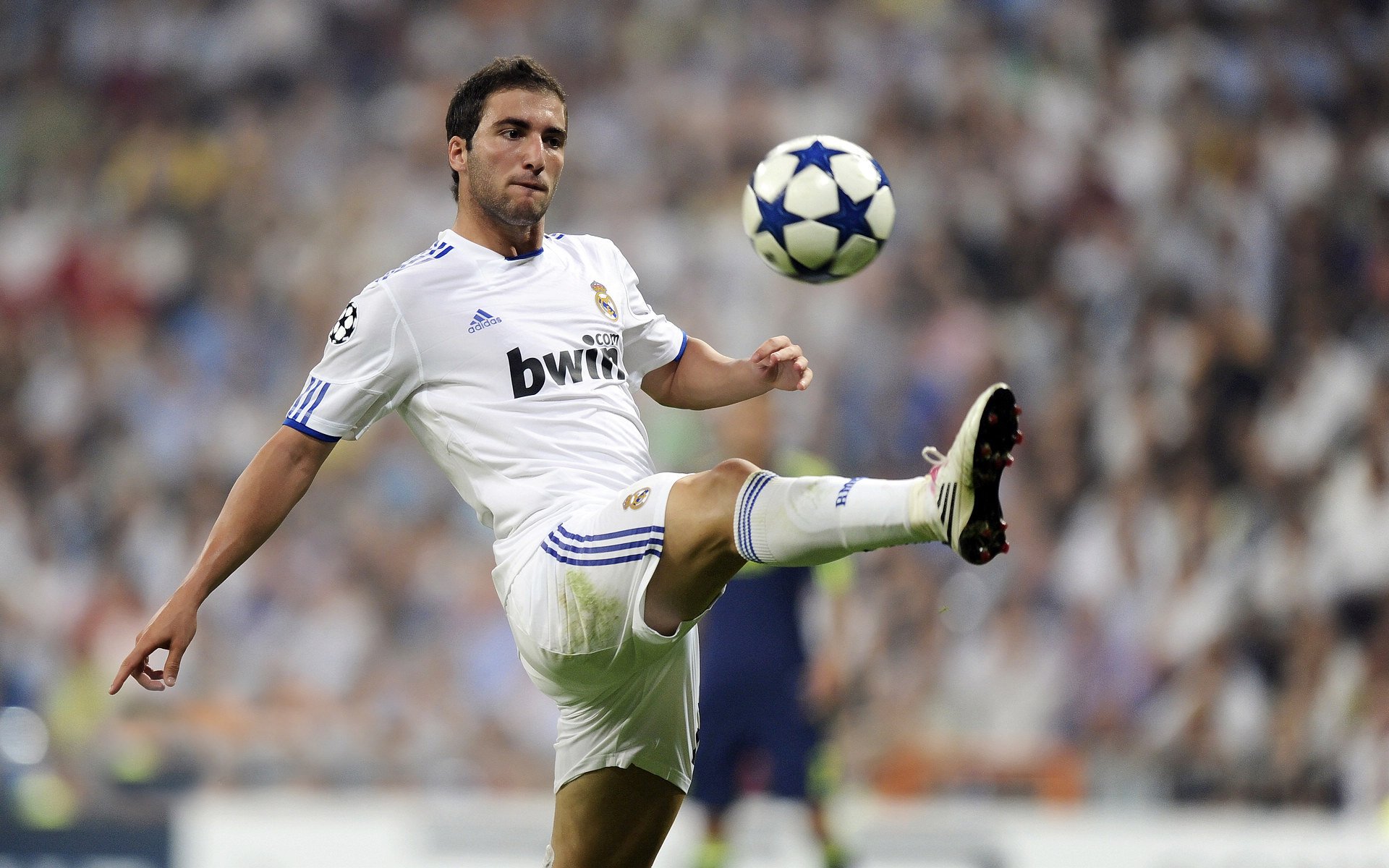 球员之间的友谊和竞争，体育精神的最佳体现，球员之间用什么语言交流